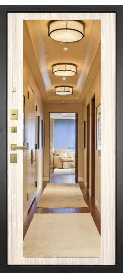 Дверь Гранит Ардеко | Внешняя МДФ-панель и наличники: цвет «Квазар черный», 10мм