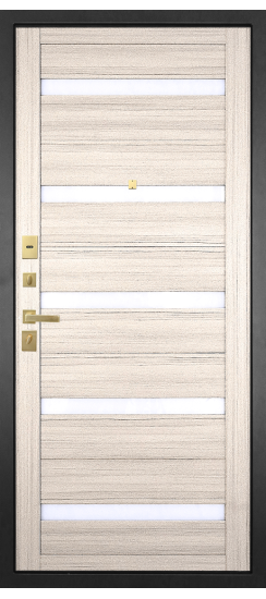 Дверь Гранит Ардеко | Внешняя МДФ-панель и наличники: цвет «Квазар черный», 10мм