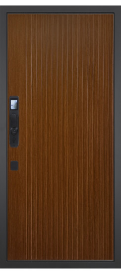 Дверь Гранит Пиано Смарт | Внешняя МДФ-панель и наличники: цвет «Графит», черное стекло, 10мм