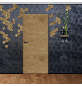 Скрытая дверь. Внешнее открывание. Алюминиевая кромка, шпон