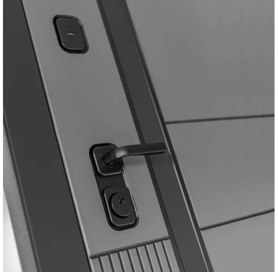 Входная дверь EVOLAB с зеркалом тонированным Максимум - Черный кварц | Фрезерованная МДФ панель 10 мм, цвет 