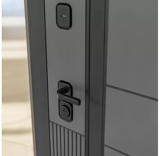 Входная дверь EVOLAB с зеркалом тонированным Максимум - Черный кварц | Фрезерованная МДФ панель 10 мм, цвет 