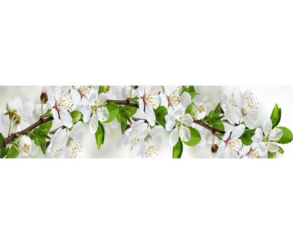 Фартук для кухни «Цветущий сад» | ХДФ с у/ф печатью, 2440*610