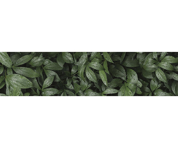 Фартук для кухни «Ботанический сад» | ХДФ с у/ф печатью, Высокая устойчивость