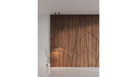 Шпонированая стеновая панель Сложная форма с кромкой