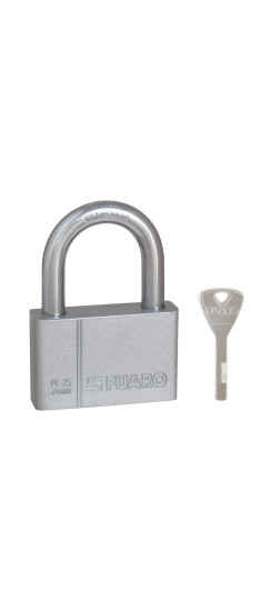 Замок навесной PL-PROTEC-2570 4 fin key (PL-2570) фин. /блистер | Чугун