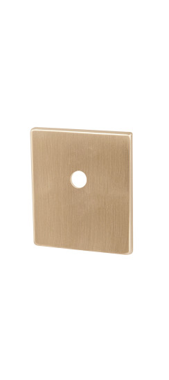 Накладка на шток цилиндра ESC.O.USS/K (BK Protector/USS) FSG флорентийское золото | Сталь с нейлоновым основанием