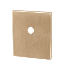 Накладка на шток цилиндра ESC.O.USS/K (BK Protector/USS) FSG флорентийское золото