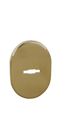 Накладка на сувальдный замок ESC.S.SF/OV.475 (ESC 475) GP латунь | Сталь с нейлоновым основанием