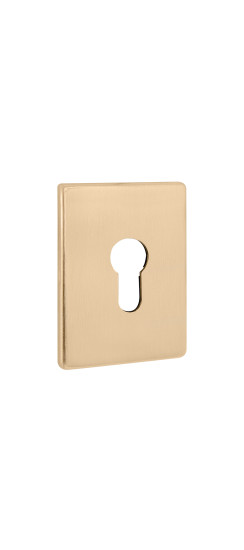 Накладка на цилиндр ESC.C.RL/K.486 (ESC 486-C RL) SSG сатинированное золото | Сталь с нейлоновым основанием