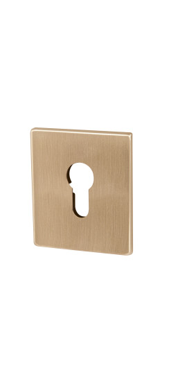 Накладка на цилиндр ESC.C.USS/K (ET Protector/USS) FSG флорентийское золото | Сталь с нейлоновым основанием