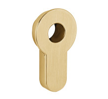 Вставка под шток цилиндра INSERT TANG SSG-39 сатинированное золото