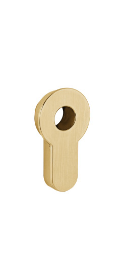 Вставка под шток цилиндра INSERT TANG SSG-39 сатинированное золото | ZAMAK