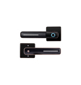 Замок-ручка электронный Hogo R05 с отпечатком пальца, черный