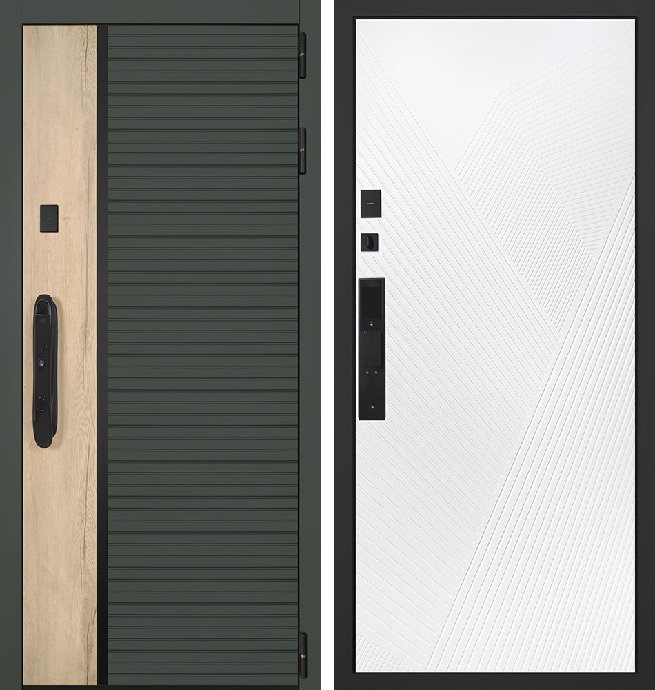 Стальная дверь "Ferrum" (биометрический замок) | Порошковое покрытие 